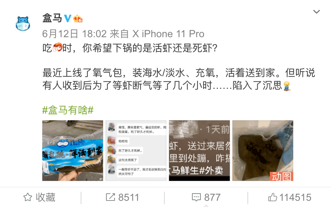 2025澳门特马网站www与2025今晚必中必开一肖的警惕虚假宣传-全面落实与解释释义